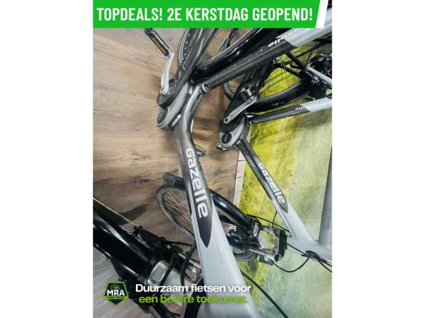 Gazelle - Afbeelding 3