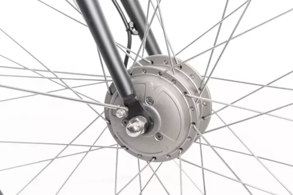 Batavus Fonk E-go N7 2024 - Afbeelding 7