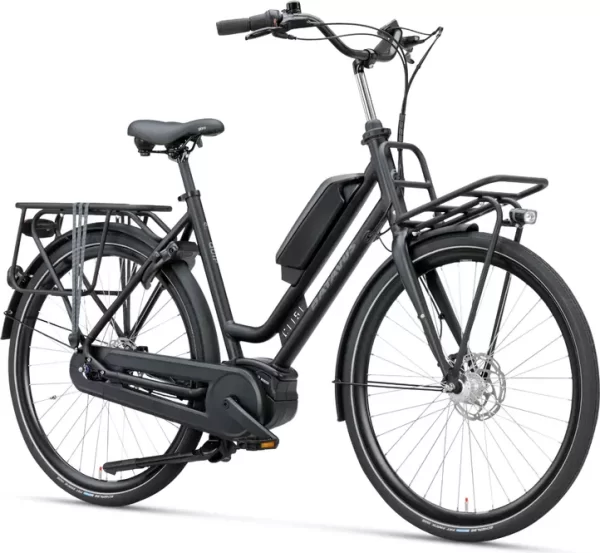 Batavus Quip Extra Cargo E-go Plus N7 2025 - Afbeelding 2